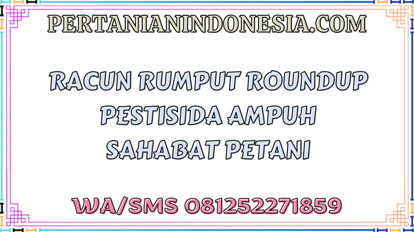 Racun Rumput Roundup Pestisida Ampuh Sahabat Petani